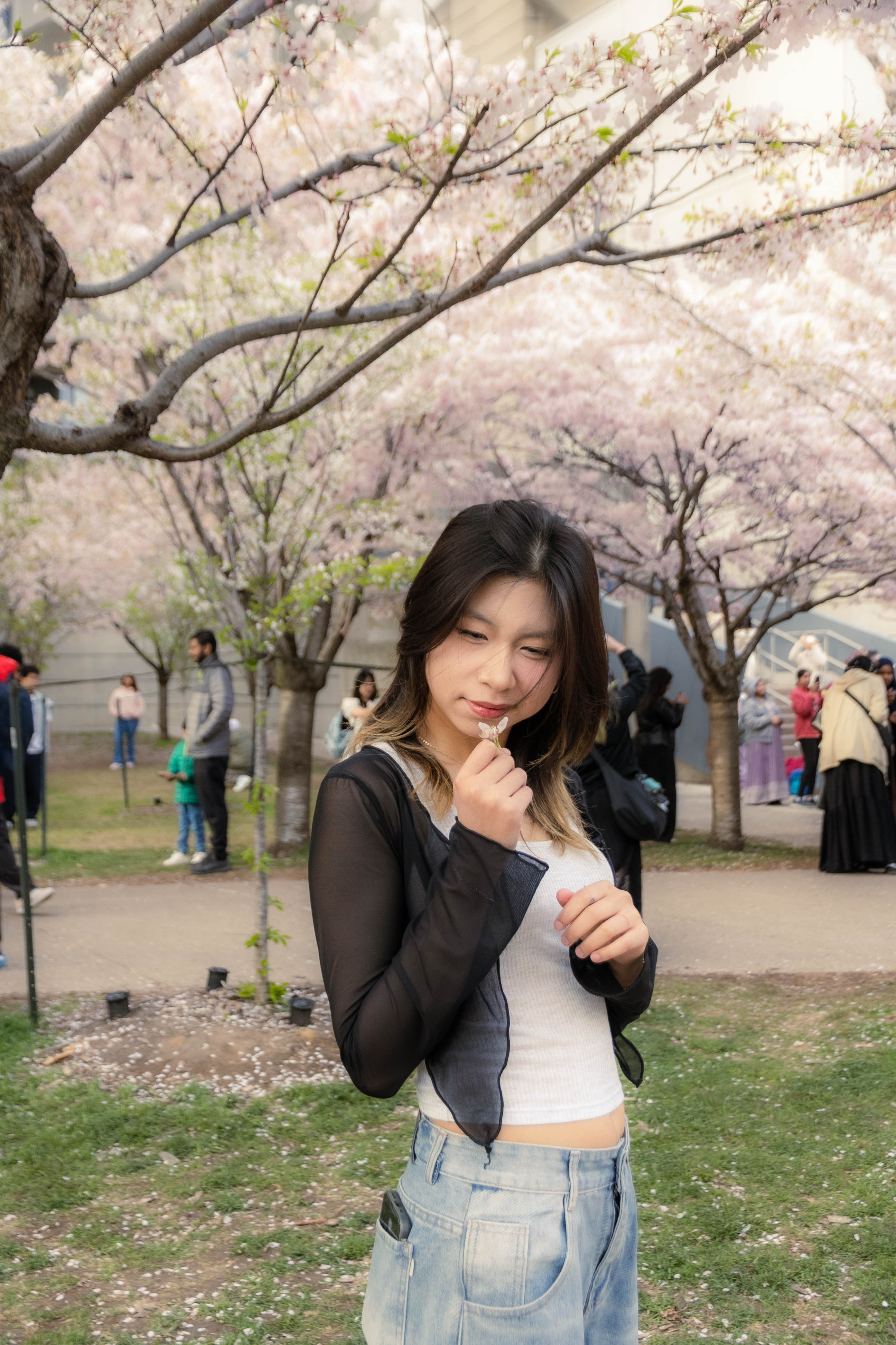cherry blossom fit